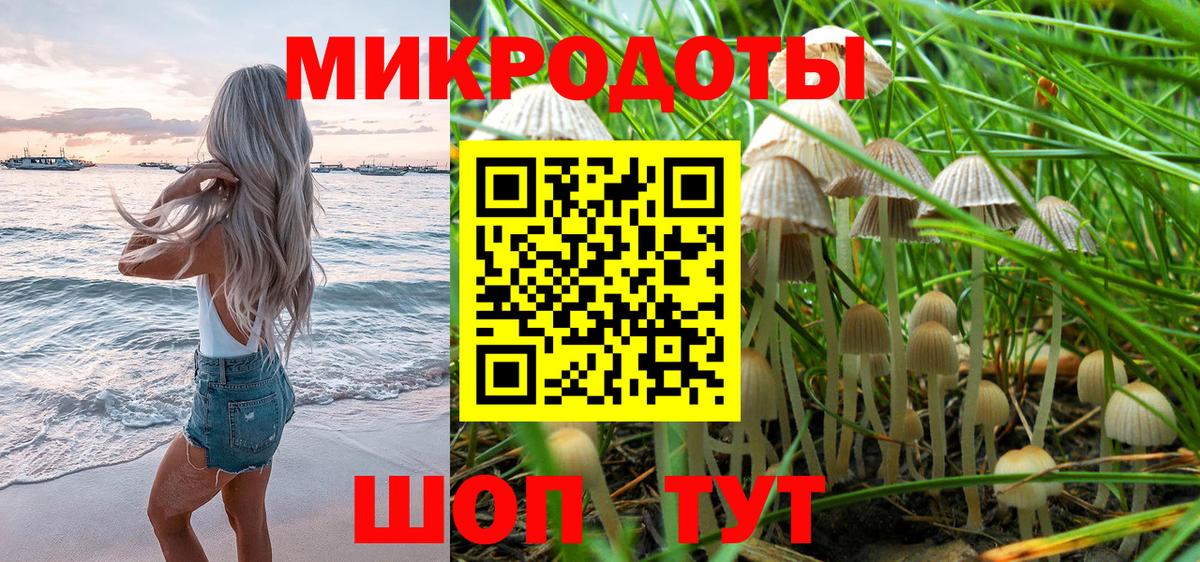 Галлюциногенные грибы Cubensis Холмск