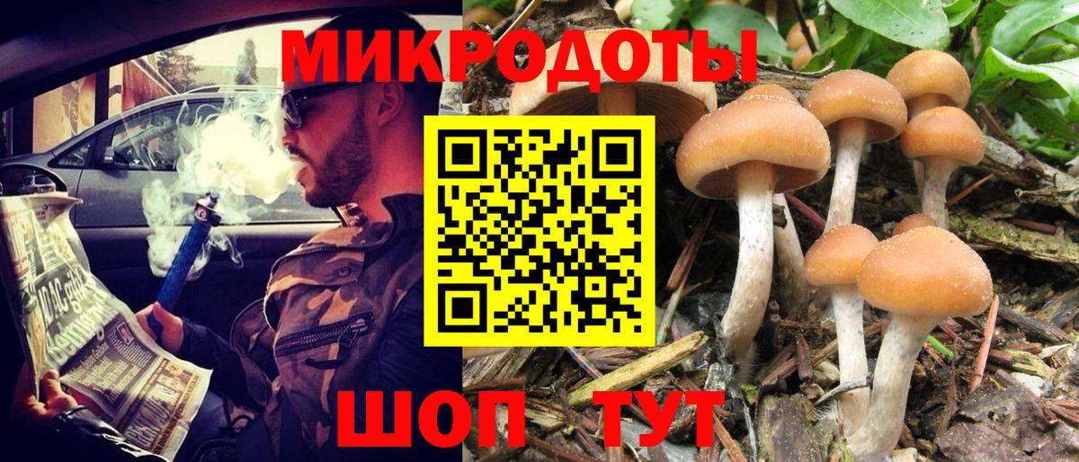 продажа наркотиков  Галлюциногенные грибы мицелий  Вход с VPN  Холмск 
